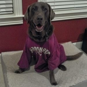 Meet your Posher, Jeanelle